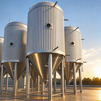 Cuve de Fermentation Industrielle Tonsen 100HL-500HL, Unitank Conique Encaissé Grande Capacité 10000L pour Brasserie Artisanale