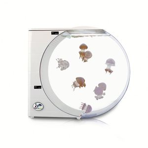 Acuario cilíndrico redondo de acrílico de 10 litros para medusas, para decoración del hogar, ecológico, duradero, transparente, acuario de escritorio. - Product Image 2