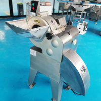 YOUBAN 3D Snijmachine voor vers & diepvries vlees (rund, varken, kip), fruit en groenten, met 2000W motor