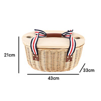 Panier de pique-nique girly, panier en osier, panier à poignée, couvercle en plastique, mini-couvercles, panier doublé, bois tressé, refroidisseur de chips, pliable, isolé