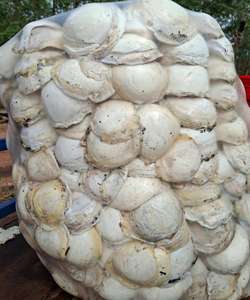 Suministro Directo de Fábrica: Caucho Natural en Trozos de Grado Estándar de Marca Vietnamita, Precio Mayorista, Material de Caucho Crudo para Neumáticos - Product Image 1