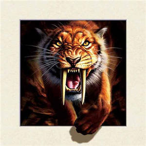 Personnaliser lumineux 3D lenticulaire impression affiche PET grille décoration murale affiche lenticulaire photos peinture murale avec rabat - Product Image 3