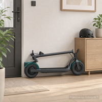 Scooter Eléctrico Plegable N05 de 350W, 10Ah, 10 Pulgadas, para Desplazamientos Urbanos, Venta al Por Mayor