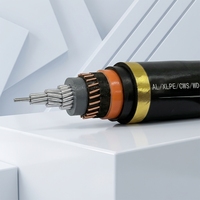 Cable de Alta Tensión Yaogu YJLLW03 con Conductor de Aluminio XLPE, 110kV 220kV, Doble Cubierta de Aluminio Corrugado, HDPE, Entierro Directo, IP68