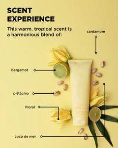 Prodotti per lo Styling dei <span class=keywords><strong>Capelli</strong></span> Ricci Biologici OEM, <span class=keywords><strong>Balsamo</strong></span> per Definire e Migliorare i Ricci con Estratto di Cocco de Mer - Product Image 4