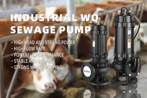 Bomba Sumergible Vertical de Acero Inoxidable de Acoplamiento Cerrado <span class=keywords><strong>QW</strong></span>, Sin Obstrucciones, Control Totalmente Automático para Uso Agrícola - Product Image 5