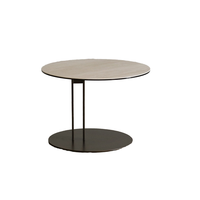 Ensemble de table basse moderne pour salon avec cadre en acier inoxydable et plateau en verre trempé, design réglable pour un usage domestique