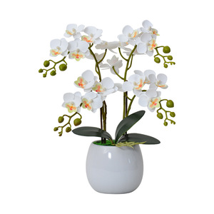 Orchidée Phalaenopsis artificielle Laixing, fleur en soie en pot, 36 cm, décoration réaliste pour salon, table basse - Product Image 5