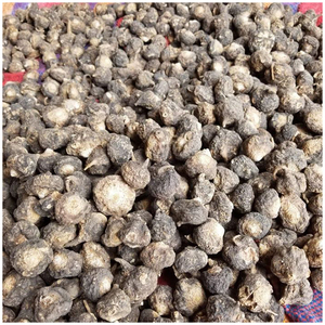 Polvo de raíz de Maca Roja Peruana, producto en oferta, precio al por mayor, excelente calidad, a granel, orgánico, 100%, de Perú - Product Image 6