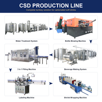 Ligne de production de boissons gazeuses 10000-40000 BPH, usine clé en main avec formation à l'installation et service après-vente