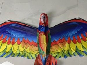 <span class=keywords><strong>Cerf</strong></span>-<span class=keywords><strong>volant</strong></span> perroquet 3D et nouveaux cerfs-volants <span class=keywords><strong>d</strong></span>'oiseaux de conception - Product Image 3