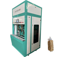Machine d'emballage sous vide semi-automatique haute vitesse pour sacs de 1 kg et 2 kg de riz, directement de l'usine