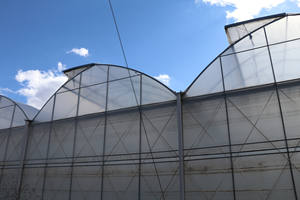 Canalón conectado diente de sierra Multi Span invernadero cubierta de película de plástico ventilación de techo para flores vegetales con cortina de sombra - Product Image 3