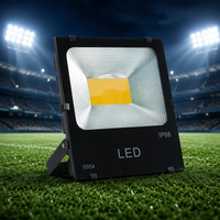 Reflector LED para Exteriores de Alta Potencia, Fundición de Aluminio, Impermeable IP66, para Estadios