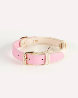 Collier de chien personnalisé en cuir PU de luxe avec boucle en métal doré pour chiens de petite/moyenne/grande taille