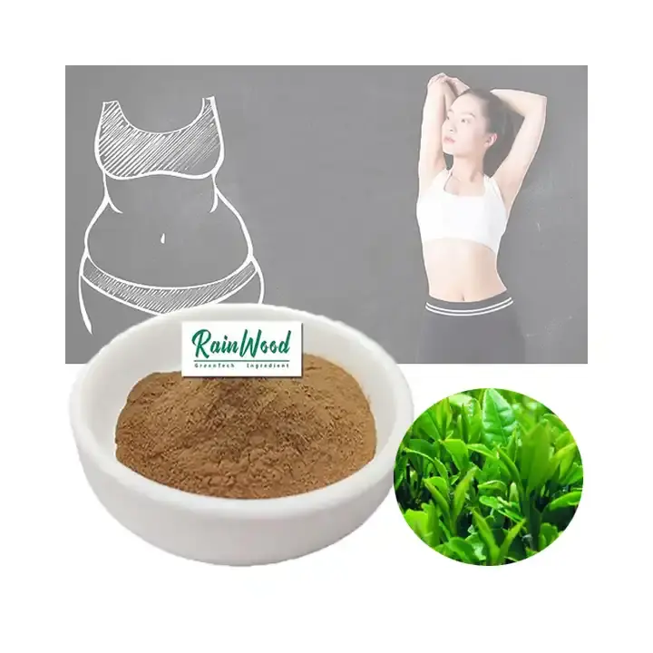 Supply Natural Green Tea Extract Tea Polyphenols Green Tea Extract Powder 90% 98%