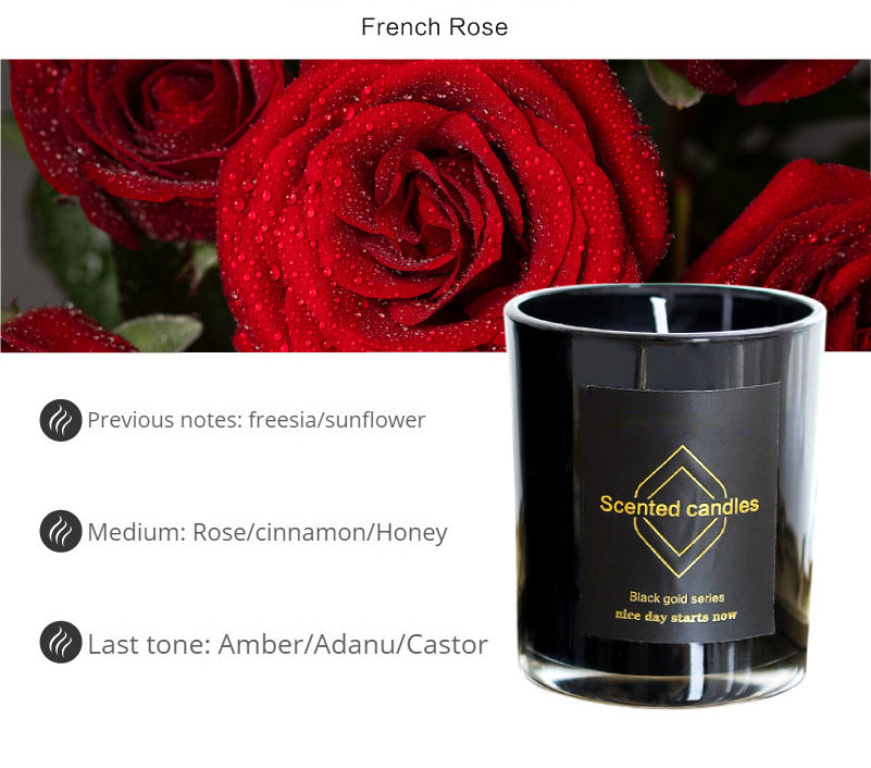 กุหลาบฝรั่งเศส