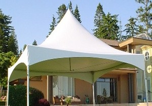 2X2m Petit chapiteau de fête tente de mariage événement cadre tente <span class=keywords><strong>pagode</strong></span> extérieure pour tentes camping extérieur étanche - Product Image 6