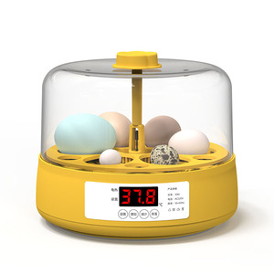 Mini incubateur d'œufs à rotation automatique 6 œufs pour enfants, nouveau Design - Product Image 3