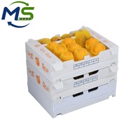 Caisse en polypropylène ondulé de 5 mm pour fruits et légumes, pliable, réutilisable, emballage empilable, qualité alimentaire, conteneur logistique, OEM, export