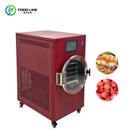 Commerciële mini-vriesdroogmachine voor de productie van jackfruit- en appelchips. Kleine vriesdroogmachine.
