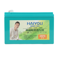 Batterie au lithium fer phosphate 12V 10Ah de bonne qualité avec 2000 cycles pour outils électriques certifiée CE/RoHS