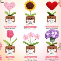 Bunga rajutan buatan tangan dekorasi tanaman pot Hari Guru hadiah akhir tahun Terima kasih hadiah untuk wanita bos lembaran