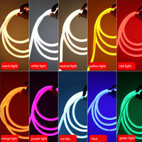Bande LED flexible SMD5050 certifiée CE RoHS, boîtier extérieur étanche IP68, alimentation DC 12V, barre lumineuse fournie par l'usine