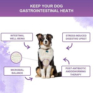 Probiotici Naturali <span class=keywords><strong>per</strong></span> <span class=keywords><strong>Cani</strong></span> in Morbide Compresse, Supporto <span class=keywords><strong>per</strong></span> la Pelle e la Flora Intestinale a Lunga Durata - Product Image 4