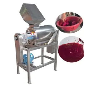 Machine professionnelle de réduction en pulpe de fruits à double canal équipement de fabrication de pulpe de fraise mangue fruit du dragon