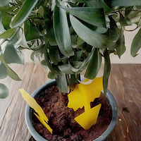 Pièges collants d'insectes de jardin écologiques pour les parasites volants Conception décorative de tournesol pour la protection des plantes en plein air