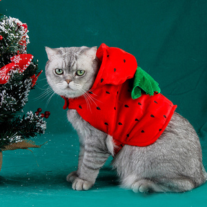 Robe pour chat en coton de haute qualité, motif à pois et fraises, pour fêtes, Noël et hiver, écologique - Product Image 5
