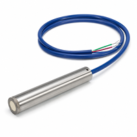 Vibrating Wire Piezometer Stainless Steel Pore Water Pressure Sensor IP66 0.1% FS Accuracy for Dam Tunnel Slope Monitoring