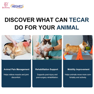 Dispositivo Portátil de Terapia Tecar Veterinaria de 448kHz, Radiofrecuencia Móvil para Rehabilitación Animal en Campo - Product Image 5