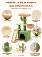 Arbre à chat Cactus Vert pour petit appartement, avec perchoir pour observation des oiseaux à la fenêtre, niche privée, hamac et rampe en sisal, pour chats d'intérieur