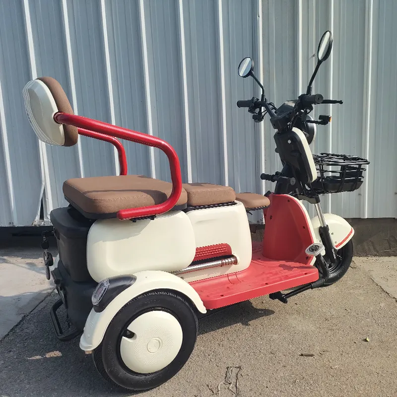 NEW MODEL electric tricycle scooter three wheels electric mobility scooter 1000w 60V 20Ah Lead-acid battery electric motorcycle
