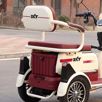 Tricycle électrique à 3 roues pour adultes en Amérique du Sud, moteur 1000W, durable pour les trajets urbains et la logistique rurale