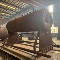Chaudière à combustion multi-combustibles DZL 2 tonnes à haute isolation et antirouille, adaptable pour atelier de briques et de ciment