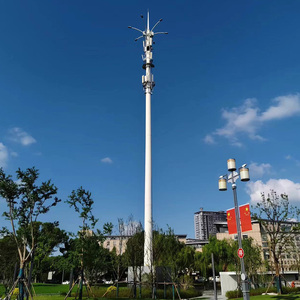 <strong>Towers</strong> <strong>15m</strong> 20m 25m 30m Steel Monopoles Mast Telecom <strong>Tower</strong> 4/5g <strong>Antenna</strong> <strong>Communication</strong> Monopole - Product Image 4