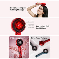 Fabricant OEM ODM de peignes pour la croissance des cheveux, masseur électrique pour la tête, thérapie par lumière rouge EMS, brosse de massage du cuir chevelu avec distributeur d'huile