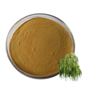 <span class=keywords><strong>Écorce</strong></span> <span class=keywords><strong>de</strong></span> <span class=keywords><strong>saule</strong></span> blanc salicine <span class=keywords><strong>de</strong></span> haute qualité 50% poudre d'extrait <span class=keywords><strong>de</strong></span> salicine - Product Image 1