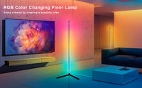 TSINYE lampadaire RGB lumières musique synchronisation minuterie réglage magique Led lumières pour chambre TV rétro-éclairage salle de jeu décor fête décor