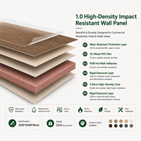 Panneau de protection murale imperméable et anti-collision en film PVC au charbon de bambou, densité 1000, pour hôpitaux et centres de santé