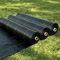 Rouleaux de bâche anti-mauvaises herbes en HDPE haute résistance, résistants aux UV, tailles personnalisées, installation facile, couverture de sol agricole pour la ferme