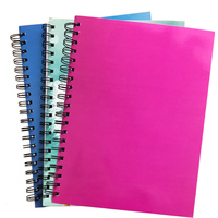 Meistverkauftes Notizbuch zum Bestpreis Individueller Druck Französische Linien Farbdruck Schul-Notizbuch Individueller Druck Journal A4 Spiralnotizbuch
