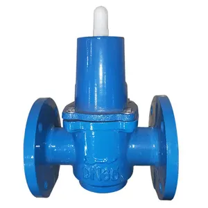 Specialized Production And Wholesale Safety Adjustable Water Pressure Relief Valve For Steam