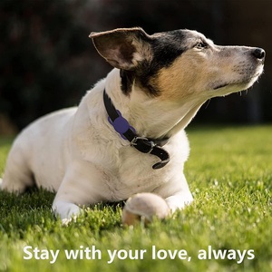 Collar de silicona suave antipérdida para perros, funda protectora de gel de silicona para apple <span class=keywords><strong>airtag</strong></span>, rastreador GPS - Product Image 2