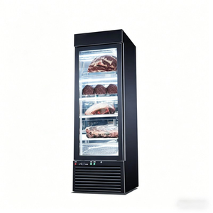 Refrigerador de Una Puerta para Maduración en Seco |   Máquina para Maduración de Carne de Res con Control Digital, Gabinete de Curación de Carne con Enfriamiento Ventilado - Product Image 2