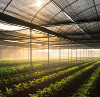 Agrarisch HDPE gebreid zonwerend net 50% 70% 80% UV-bestendig voor boomgaard, groenteteelt, kwekerij, kas, boerderij