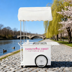 Carrito de Helados, Remolque de Gelato, Carrito Móvil para Venta de Flores, Camión de Comida - Product Image 2